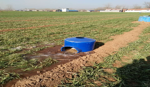 射頻灌溉控制器