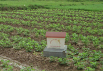 智能灌溉控制器